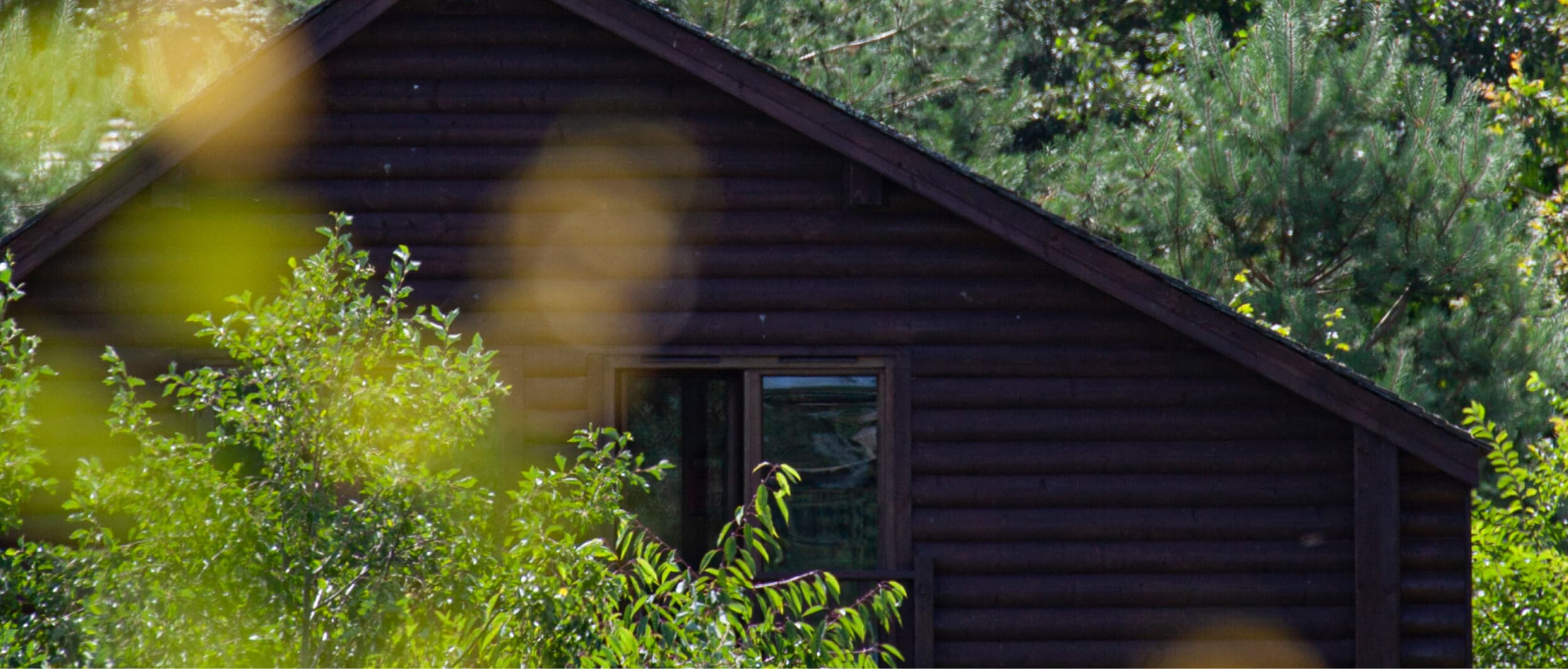 House in the forest