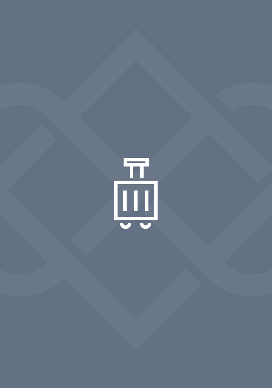 Icon with a shape of a suitcase
