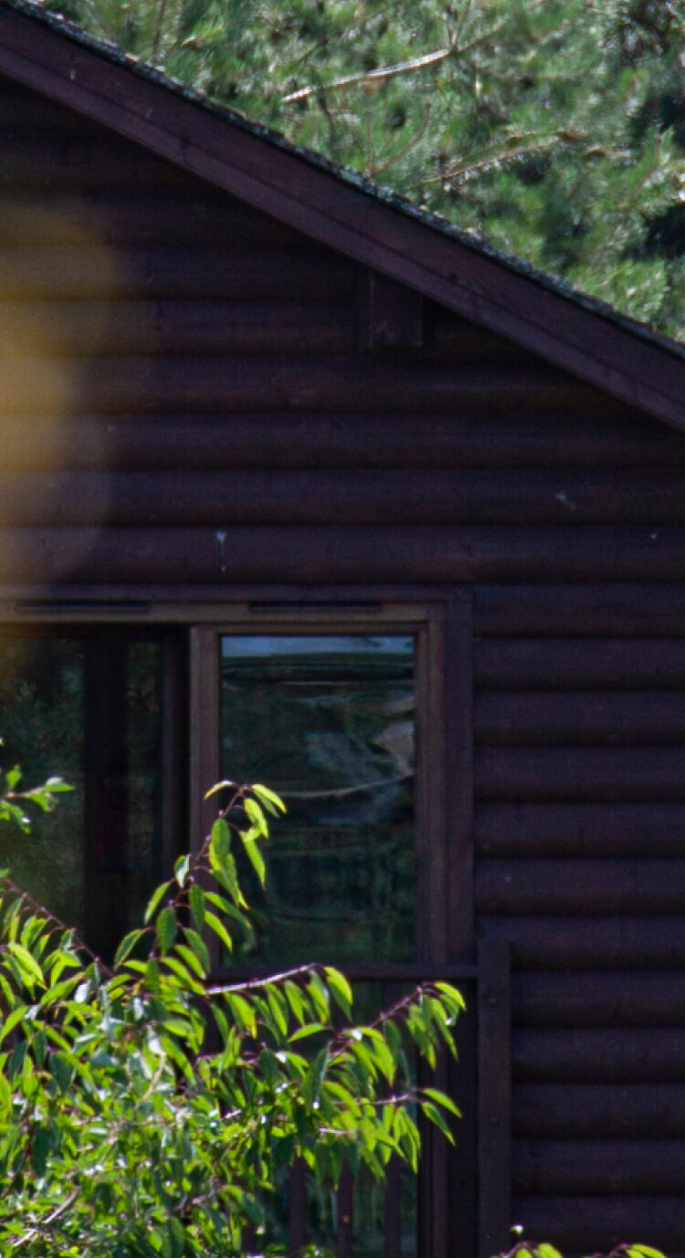 House in the forest