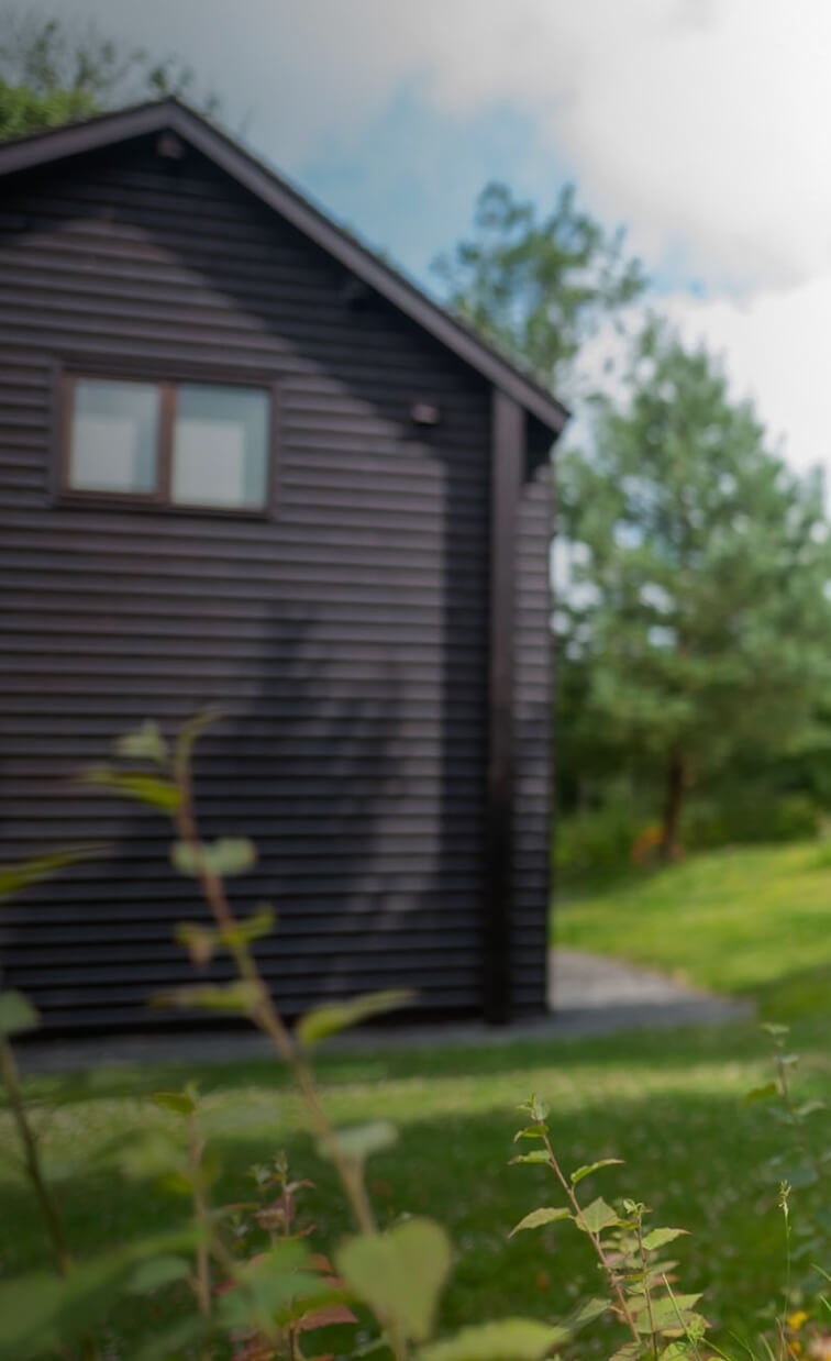 bushes with a blurred house in the background