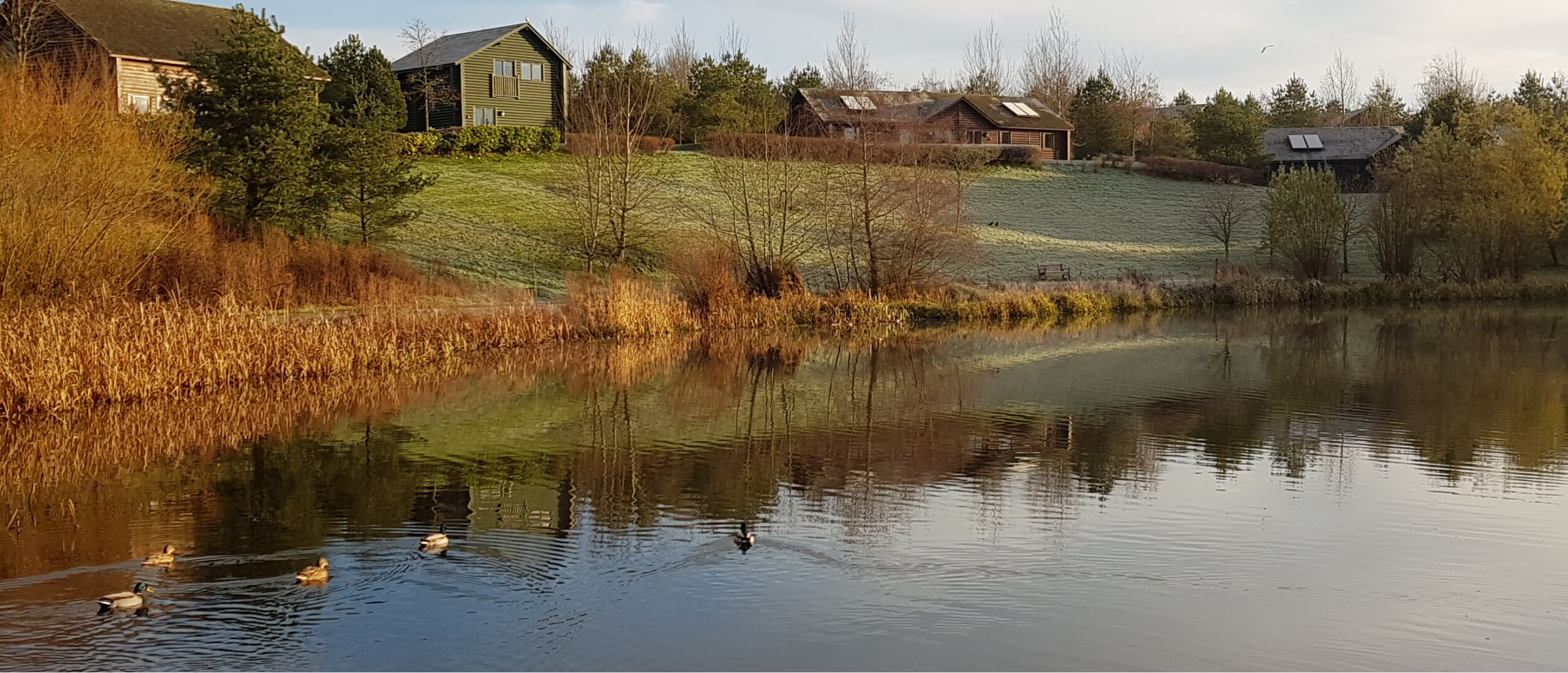 landscape of a lake 