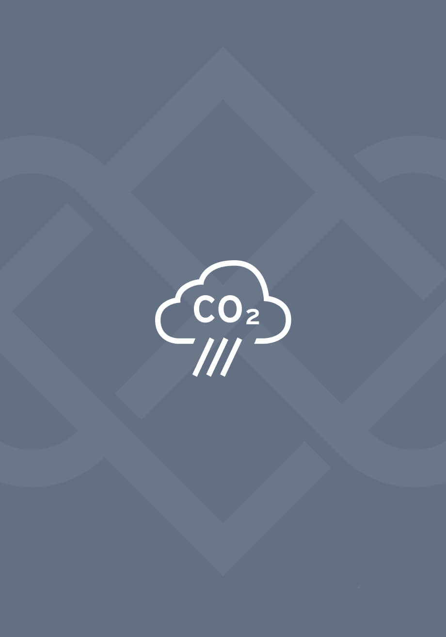 Icon with a shape of a cloud with the word C02 inside