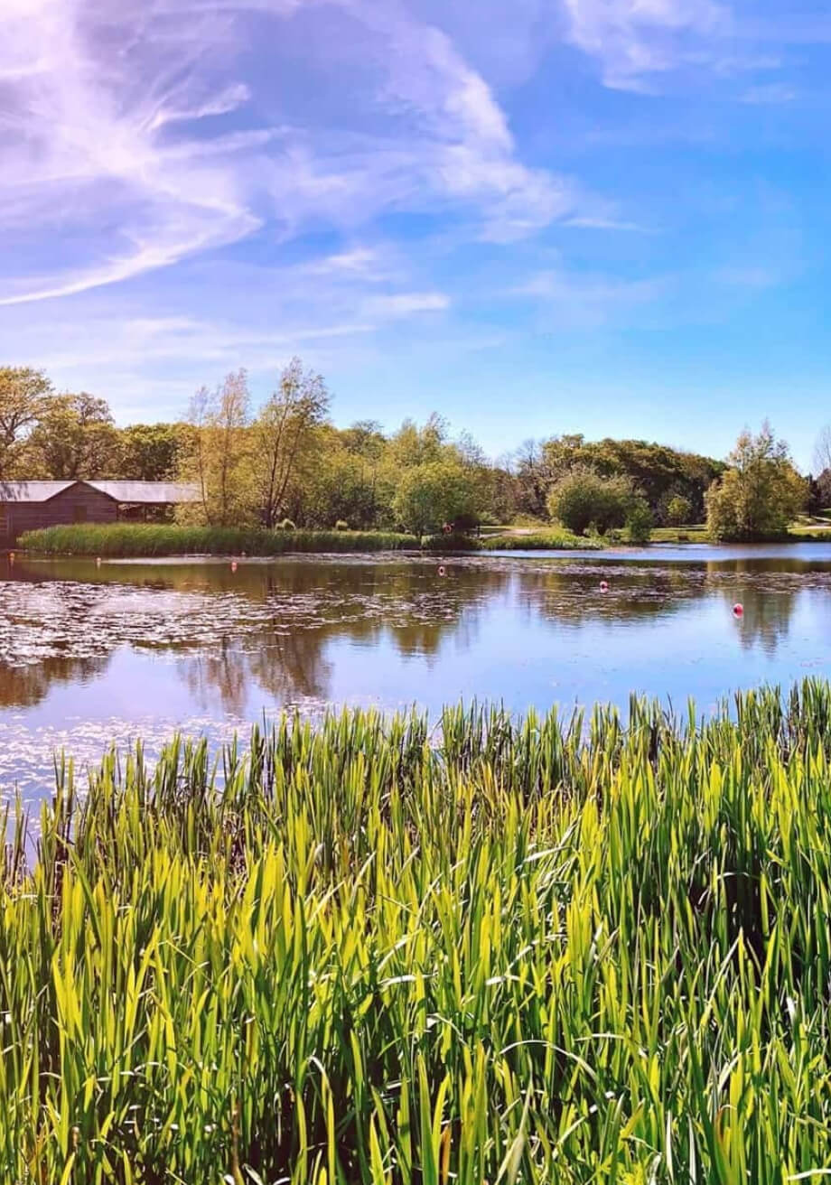 landscape of a lake