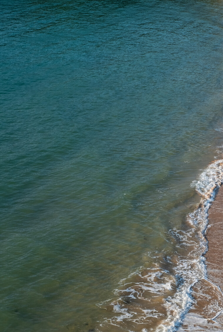 Calm ocean shore