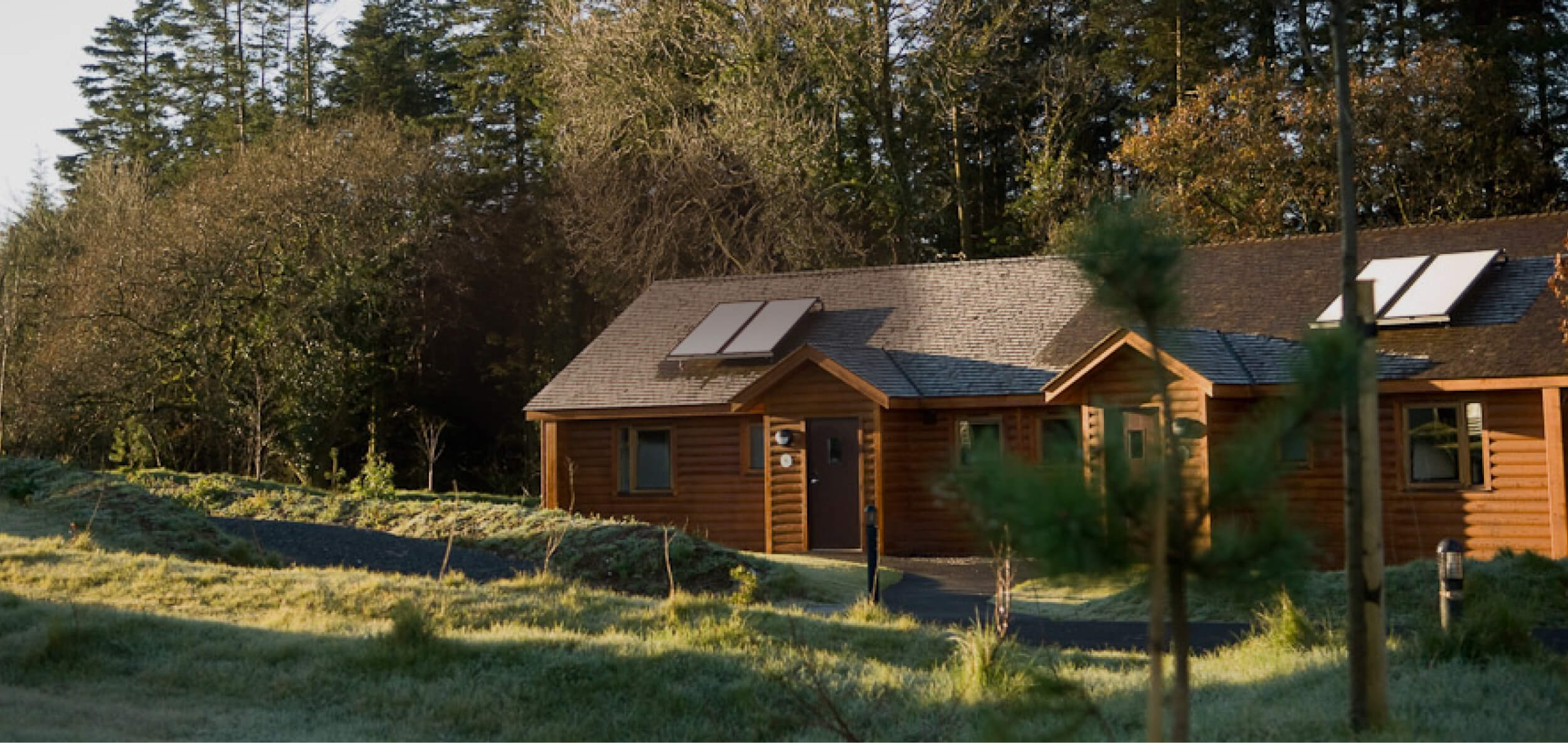 House in the forest