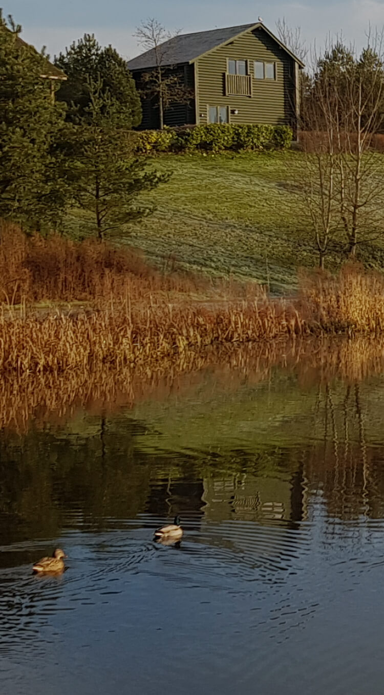 landscape of a lake