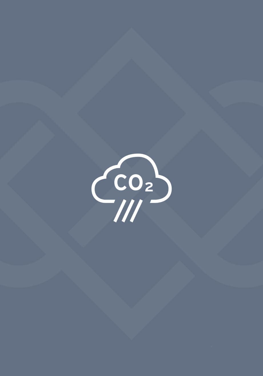 Icon with a shape of a cloud with the word C02 inside